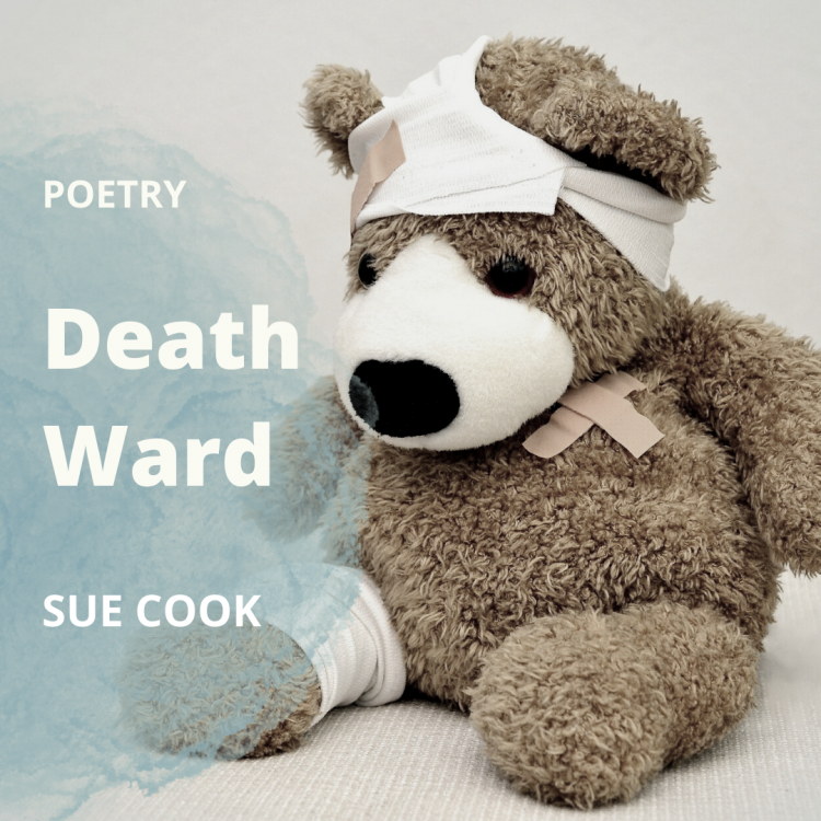 Muted teddy bear in bandages - Death Ward