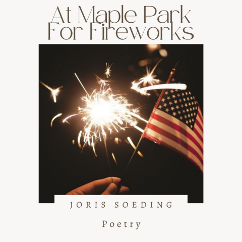 US flag and sparker - fireworks poetry
