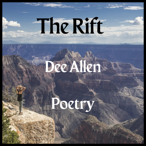 person overlooking a rift - music - poetry