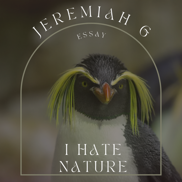 penquin with eybrows - I hate nature