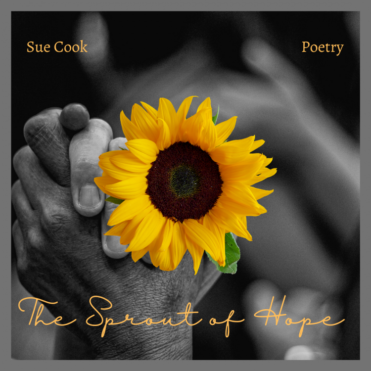sunflower in bloom - Ukraine poetry