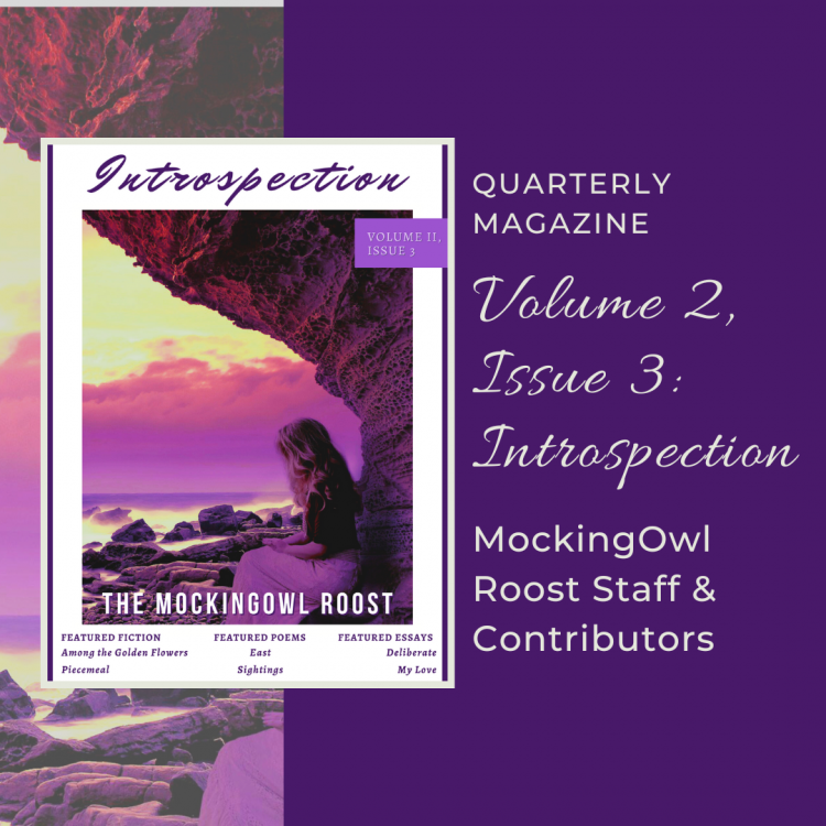 The MockingOwl Roost Volume 2, Issue 3: Introspection