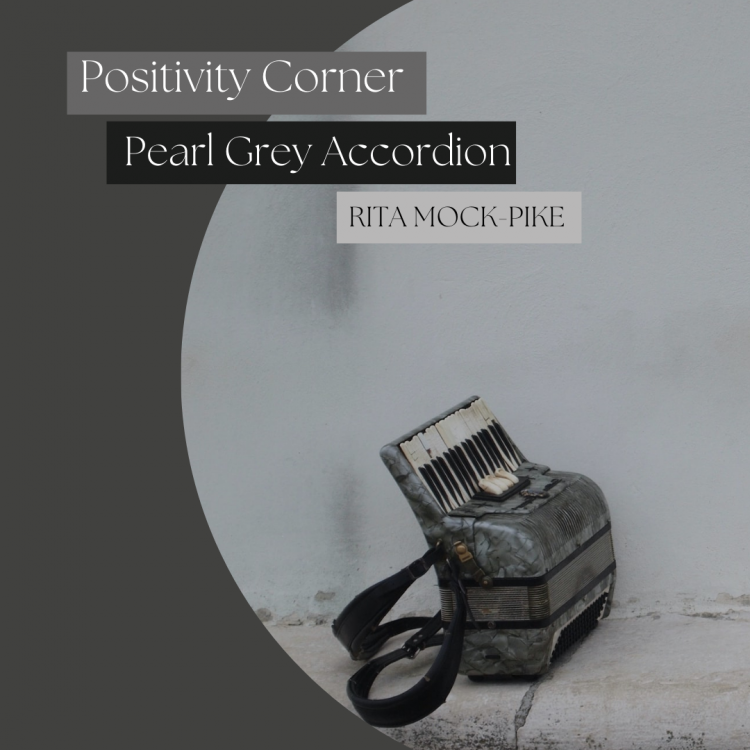grey pearl accordion