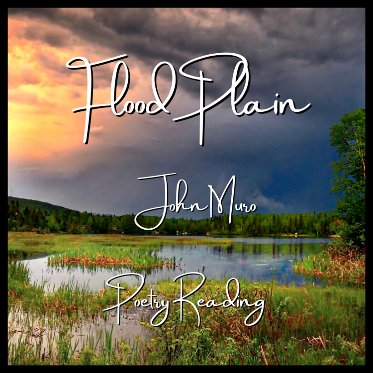 Flood Plain - poetry reading cover image