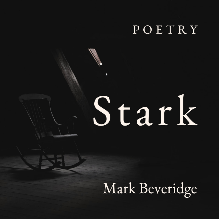 Light & Play - Stark imagery - a poem