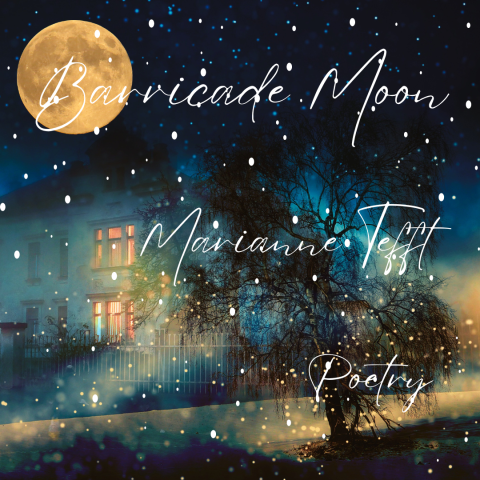 Barricade moon - a poem