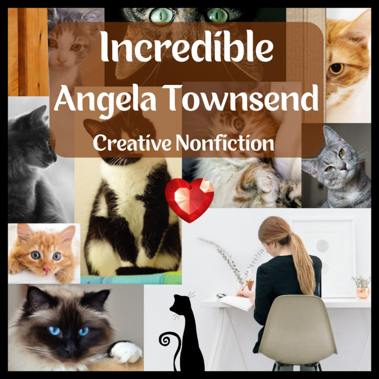 Incredible - cats, love, and writing - series of images of cats and writing for cover image