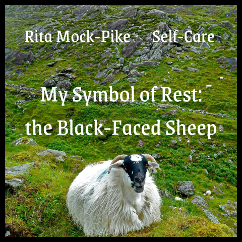 My symbol of rest - the black-faced sheep