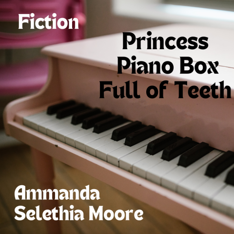 pink toy piano with title Princess Piano Box Full of Teeth - Ammanda Selethia Moore – Fiction