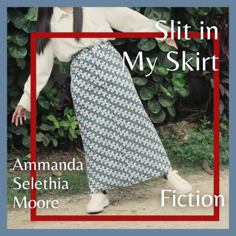 big slit in my skirt... flash fiction cover image