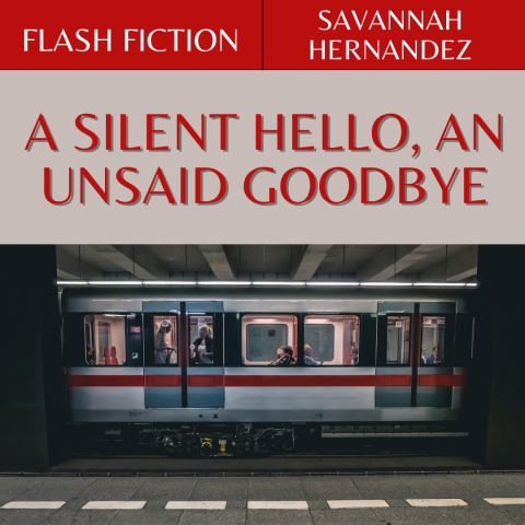 Twenty-five years, A Silent Hello, an Unsaid Goodebye story cover with train rushing past