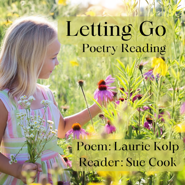 Little girl holding flowers in a field - Letting Go title cover