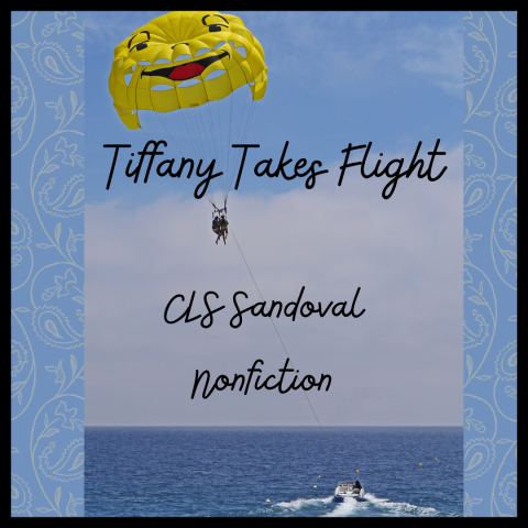 ocean with smiley parachute flying overhead