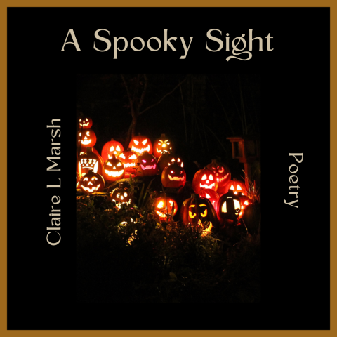 trick or treat! A Spooky Sight poetry cover image with jack-o-lanterns all lit up