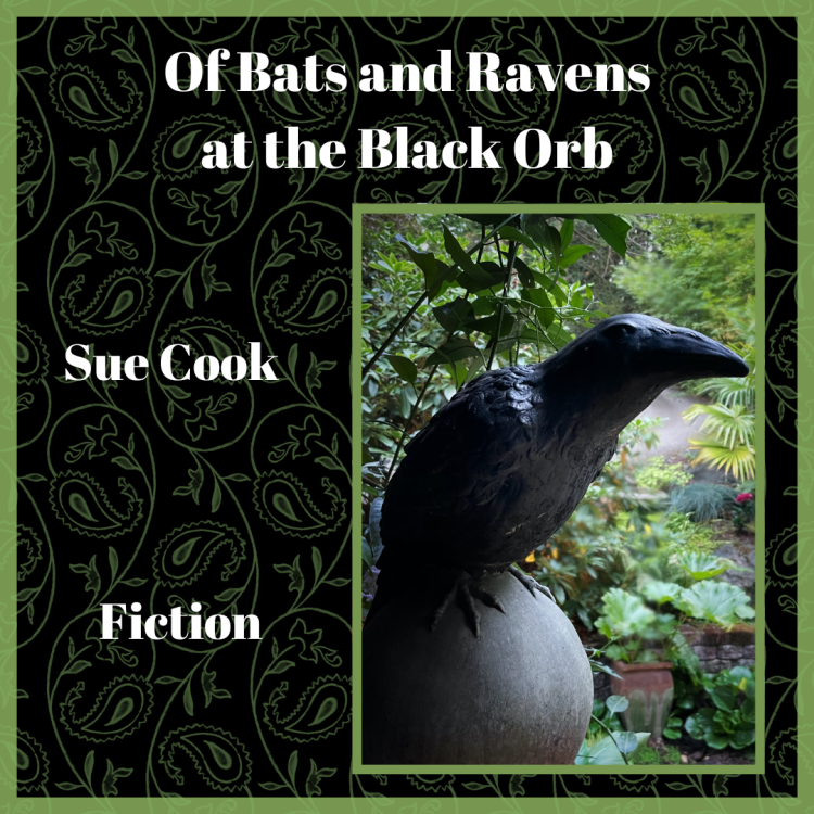 raven sitting on a rock - of bats and ravens fiction cover