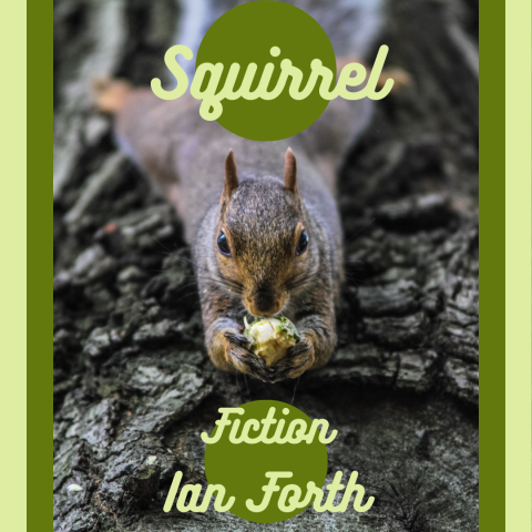Squirrel stories: old man vs. squirrel - cover image - squirrel lying on tree trunk with nut in its hands