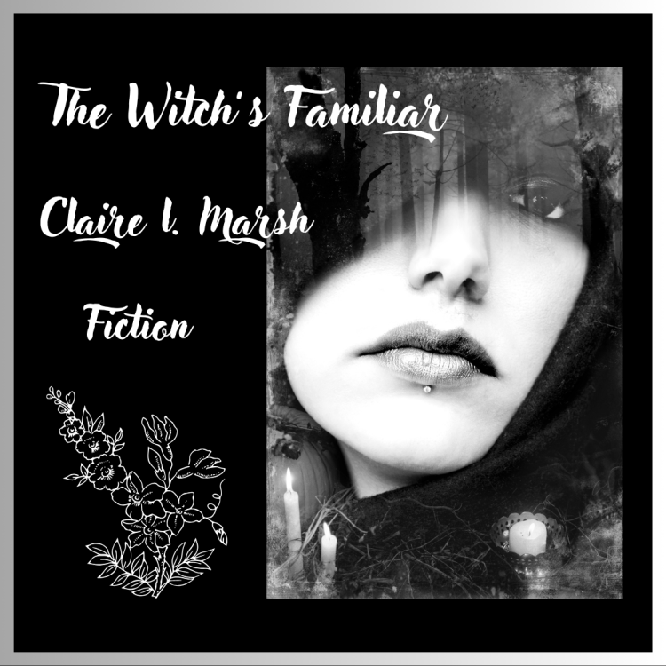 the witch's familiar - a humorous flash fiction for Halloween - woman on cover with writing