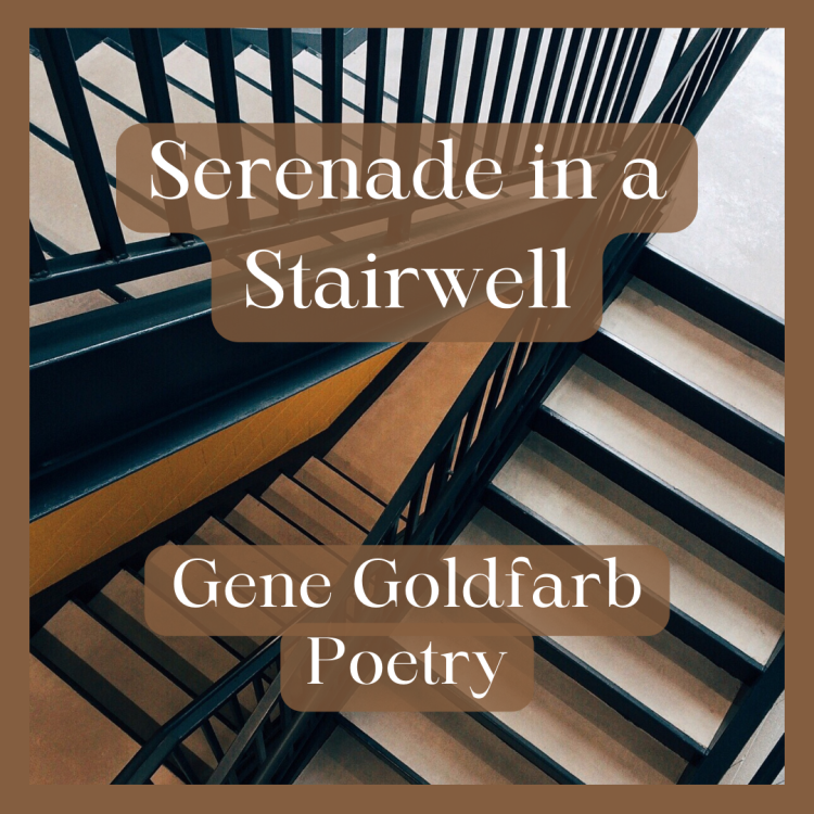 te amo - serenade in a stairwell title cover, image of stairwell with text