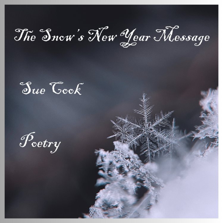 snow flake crystals - cover images for Snow's New Year Message