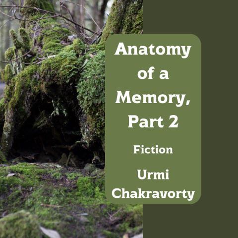 Short story cover image - cave in the forest, text reads: anatomy of memory part 2 - fiction - Urmi Chakravorty