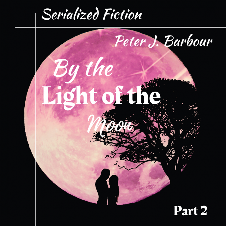 by the light of the moon - part 2 - romance fiction cover - she stayed - moonlight background