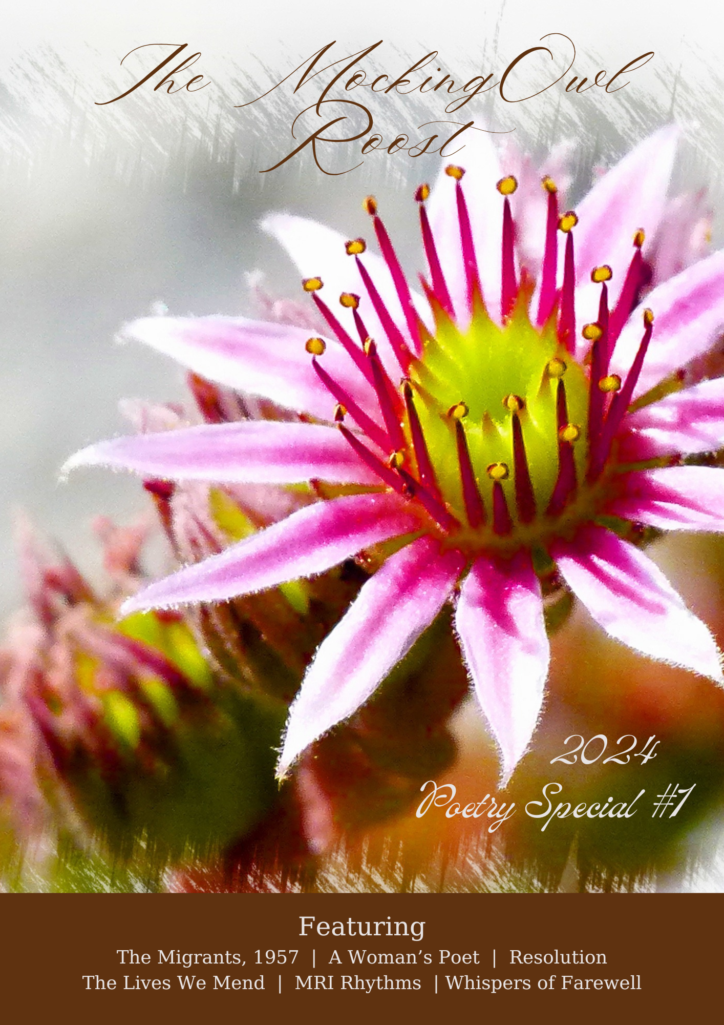 The-MockingOwl-Roost-Poetry-Special-1-2024