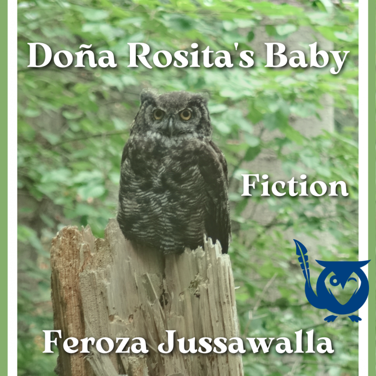Dona Rosita's Baby - great-horned owl sitting on stump