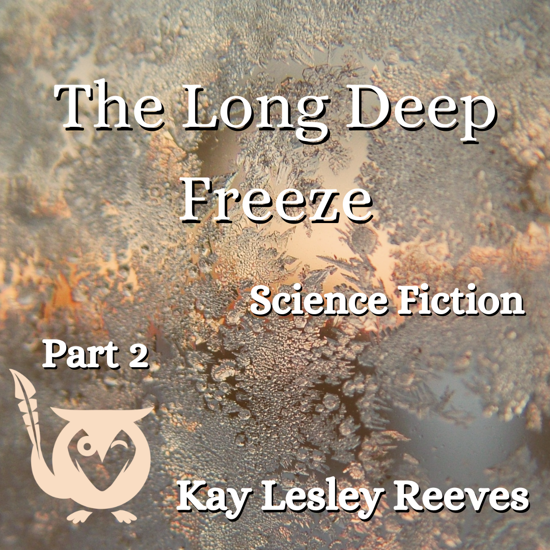 The Long Deep Freeze Part 2 - what's the evidence? - fiction story cover, with frost on glass