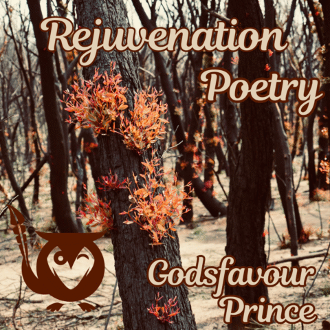Spring trees growing red, fiery parasitic plants with a fervor feeling of revolution - TEXT: Rejuvenation - Poetry - Godsfavour Prince