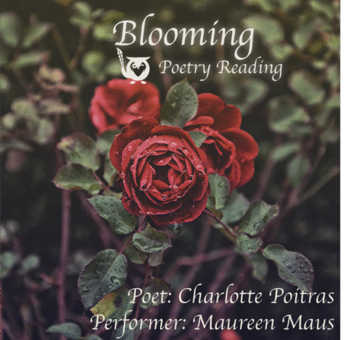 Close up of three deep, red roses on the bush. TEXT: Blooming - Poetry Reading - Poet: Charlotte Poitras, Performer: Maureen Maus