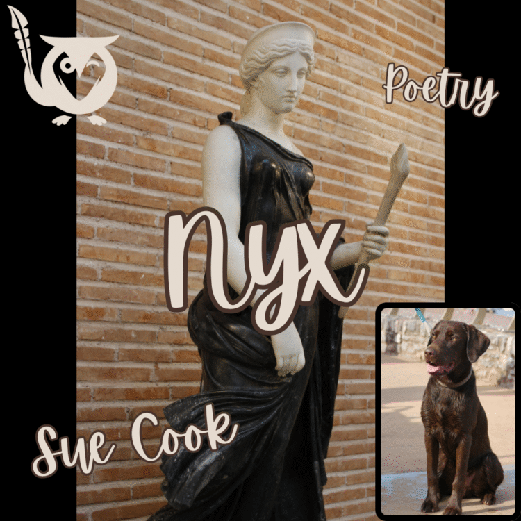 Statue of Nyx, the the goddess, in a black dress, holding a torch. In the bottom corner, a young black lab rests in a frame. - TEXT: Nyx, Poetry, Sue Cook