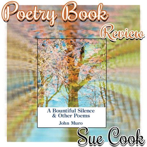 Warped zoom in of Poetry book cover for A Bountiful Silence & Other Poems by John Muro - TEXT: Poetry Book Review, Sue Cook