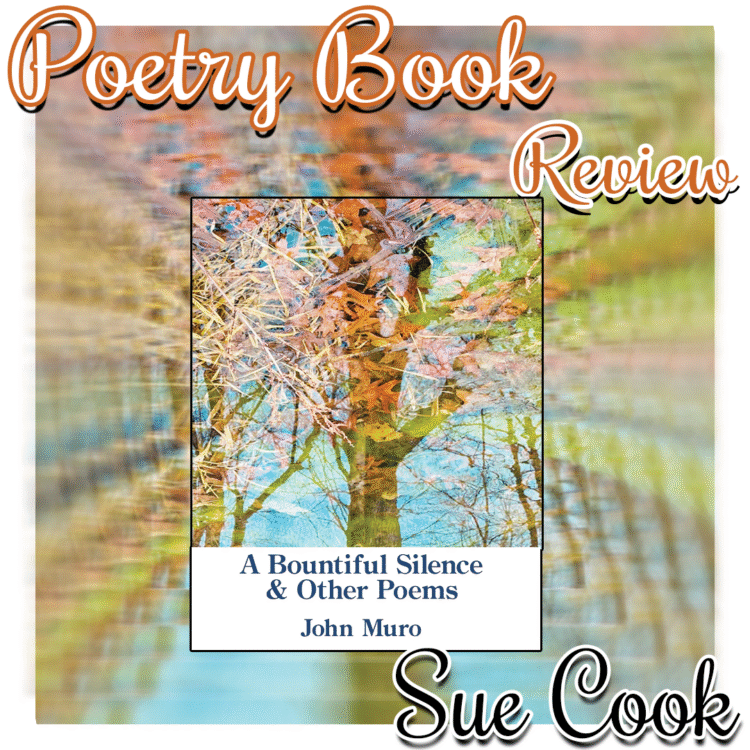 Warped zoom in of Poetry book cover for A Bountiful Silence & Other Poems by John Muro - TEXT: Poetry Book Review, Sue Cook