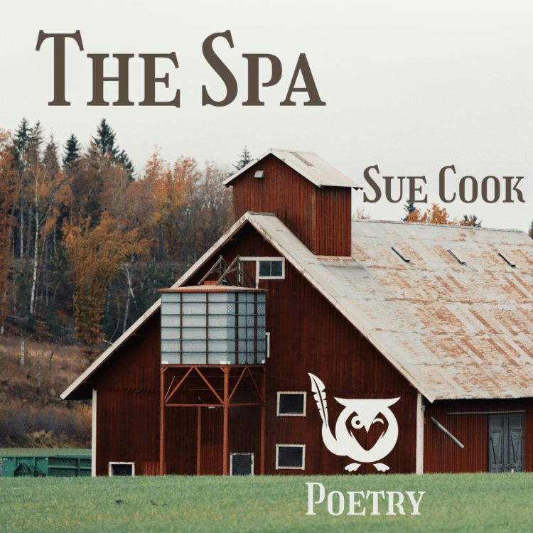 A square image with a rustic, autumnal, and pastoral vibe. The central focus is a large, weathered red barn with a white, corrugated metal roof. A square, metal water tank structure is attached to the left side of the barn. The barn sits on a green grassy field, and in the background is a dense line of trees showing the orange and brown colors of fall. The sky above is a soft, overcast gray. A large white owl logo is in the lower right corner. Spa Text: THE SPA Sue Cook Poetry