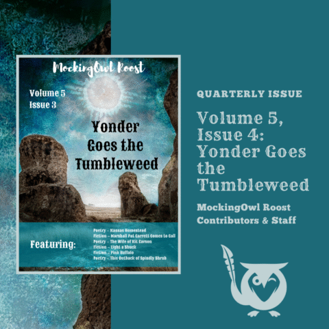 Travel back in time to the Old West in the latest issue of the MockingOwl Roost -- Yonder Goes the Tumbleweed! Volume 5, Issue 4. Quarterly issue. MockingOwl Roost staff and contributors. Image of a desert rock setting with deep turquoise sky and sun above.