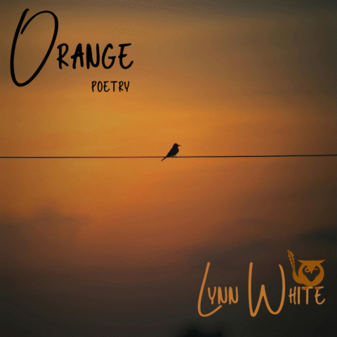 A square image with a warm, golden, and isolated aesthetic, conveying a mood of solitude and contemplation. The main subject is a single, dark bird silhouette perched on a thin, horizontal power line or wire. The entire background is dominated by a vibrant, hazy orange and dark yellow sunset or sunrise sky, with subtle clouds or mist below. The lighting highlights the bird's isolation against the fiery sky. The mockingowl roost logo is integrated into the author's name in the lower right corner. orange Text: Orange, POETRY, LYNN WHITE