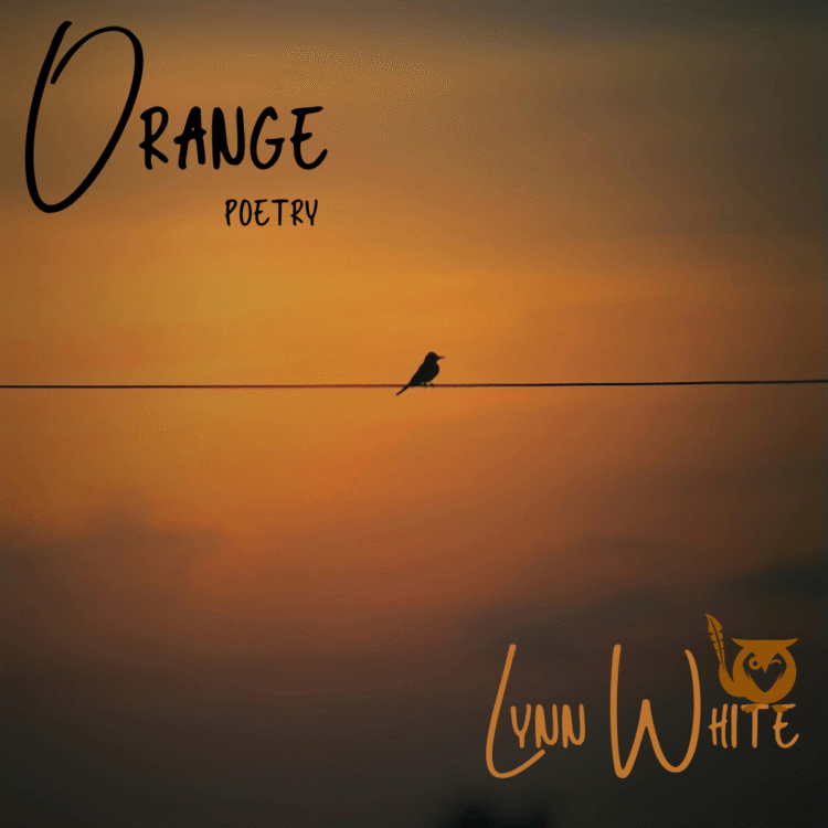 A square image with a warm, golden, and isolated aesthetic, conveying a mood of solitude and contemplation. The main subject is a single, dark bird silhouette perched on a thin, horizontal power line or wire. The entire background is dominated by a vibrant, hazy orange and dark yellow sunset or sunrise sky, with subtle clouds or mist below. The lighting highlights the bird's isolation against the fiery sky. The mockingowl roost logo is integrated into the author's name in the lower right corner. orange Text: Orange, POETRY, LYNN WHITE