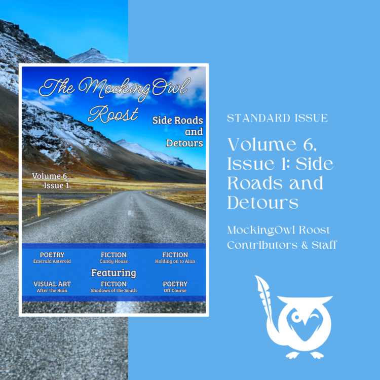 Side Roads and Detours issue cover - Light sky blue as main background, with cover of the magazine issue to the right with bold blue sky with vibrant white clouds over a well-traveled road, with mountains to the left. TEXT: Standard Issue - Volume 6, Issue 1: Side Roads and Detours - the MockingOwl Roost contributors and staff