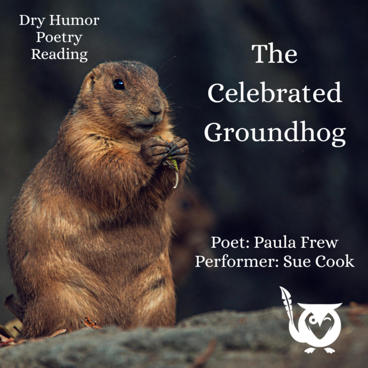 A chubby groundhog sits on a log, upright, holding something in his adorable little paws. What could it be? And more importantly, does Phil see his shadow? - TEXT: The Celebrated Groundhog - Poet: Paula Frew, Performer: Sue Cook - Dry Humor Poetry Reading
