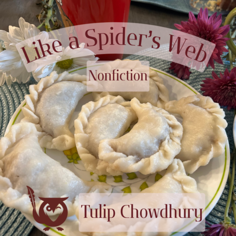 Close up of tamarind and dumplings on a plate. TEXT: Like a Spider's Web - Nonfiction - Tulip Chowdhury