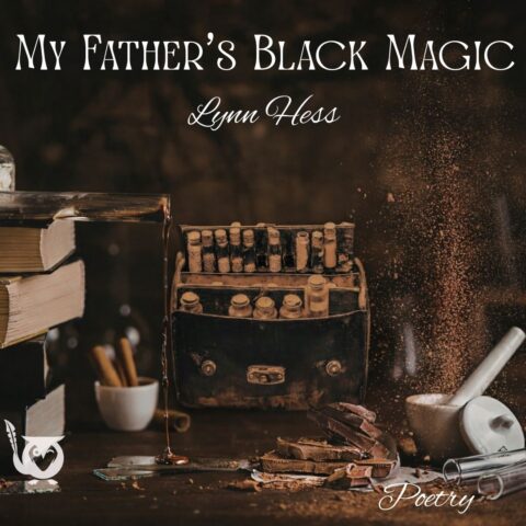Image of an old apothecary table with medicine and herbs, books, mortars and pestles, with a historic sepia patina - TEXT: My Father's Black Magic - Lynn Hess - Poetry