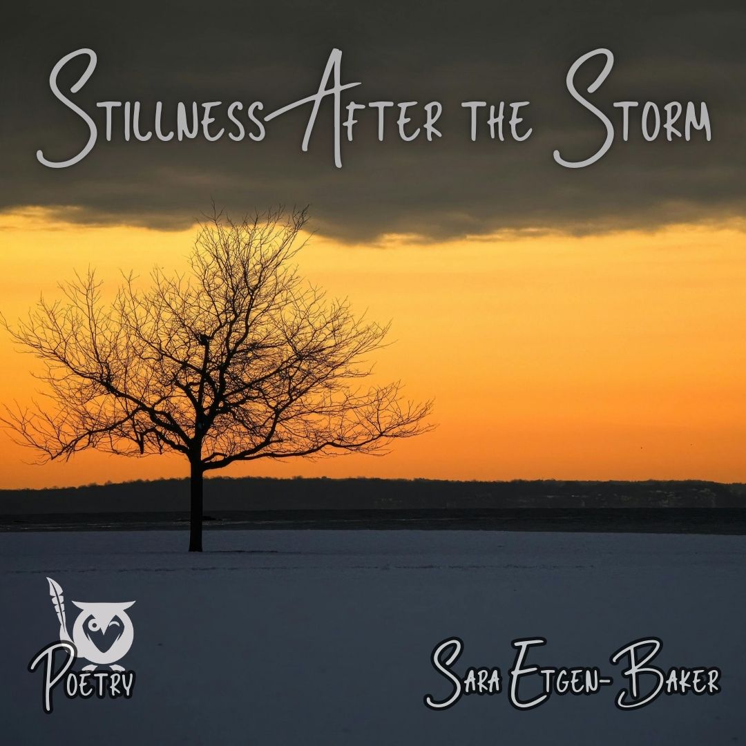 A lone, leafless tree stands in the middle of a wide, snow-covered field, its dark branches reaching outward against a glowing sunset sky. The horizon burns with warm shades of gold and orange, while heavy gray storm clouds linger overhead, creating a quiet contrast between darkness and light. power lines hum Text: Stillness After the Storm, Sara Etgen-Baker, Poetry