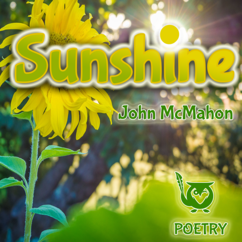 Golden sunlight spills across a tall sunflower leaning into the light, its bright yellow petals catching the glow of a warm afternoon. The background blurs into soft greens and sparkling sun flares, giving the whole image a dreamy, late-summer feel. say hello Text: Sunshine, John McMahon, POETRY