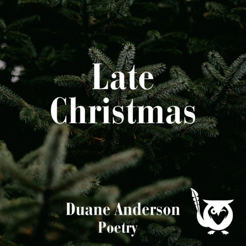 A dark, moody close-up of evergreen tree branches fills the frame, their deep green needles layered against a shadowy forest background. The lighting is soft and muted, creating a quiet, reflective atmosphere that echoes the poem’s contemplative tone about a lingering Christmas tree discovered months after the holiday. evergreen tree TEXT: Late Christmas, Duane Anderson, Poetry