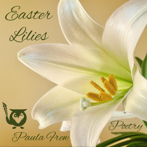 Close up of trumpet blossoms - TEXT: Easter Lilies - Paula Frew - poetry