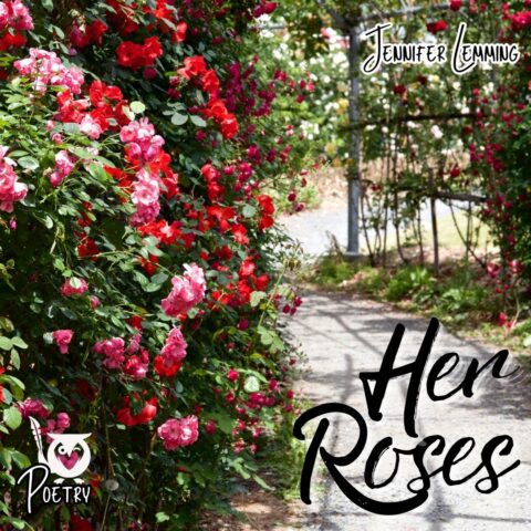 A garden pathway runs between rows of rose bushes filled with red and pink blossoms. The roses climb along trellises and frames on both sides of the path, with green leaves and clusters of flowers extending into the walkway. Mal Mason TEXT: Her Roses, Jennifer Lemming, Poetry