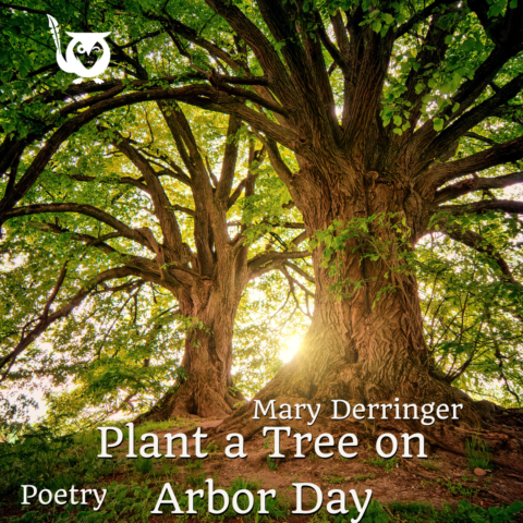 Sunlight spills warmly between two towering, old trees whose thick, twisting trunks and wide branches stretch outward like open arms, their bright green leaves glowing against the golden light. The scene feels peaceful and hopeful, like a quiet invitation to care for the earth and watch something lasting grow. great tree TEXT: Mary Derringer, Plant a Tree on Arbor Day, Poetry