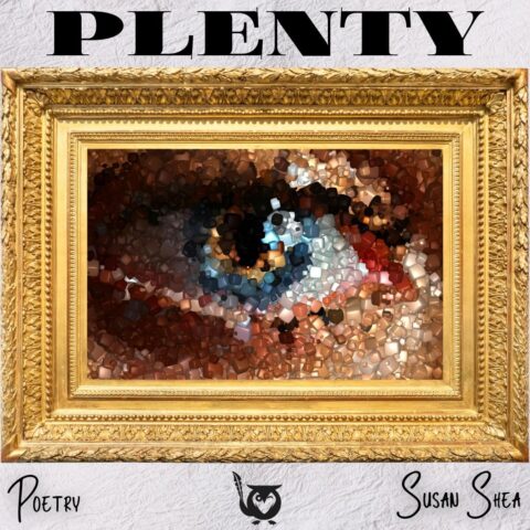 A gold ornate picture frame surrounds an abstract image composed of small rounded shapes in shades of brown, tan, cream, black, and blue, arranged to resemble a human eye at the center. The background is a light textured surface. best friend TEXT: Plenty, Susan Shea, Poetry