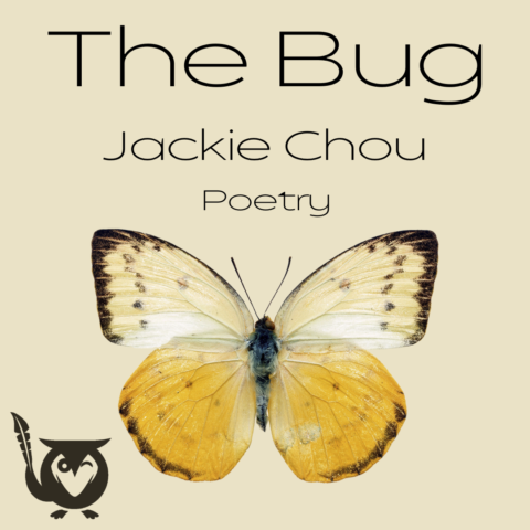 A delicate butterfly with soft yellow and cream wings spreads wide against a simple, neutral background, its wings dusted with tiny dark speckles that feel fragile and precise. The image feels quiet and observant, like pausing to notice the small, intricate details of something easily overlooked. bug in my juice TEXT: The Bug, Jackie Chou, Poetry
