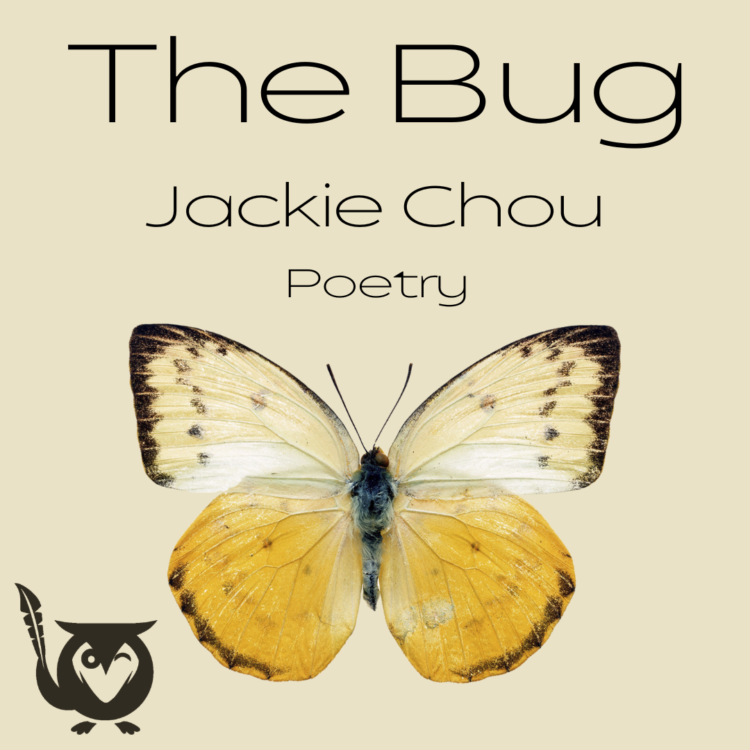 A delicate butterfly with soft yellow and cream wings spreads wide against a simple, neutral background, its wings dusted with tiny dark speckles that feel fragile and precise. The image feels quiet and observant, like pausing to notice the small, intricate details of something easily overlooked. bug in my juice TEXT: The Bug, Jackie Chou, Poetry